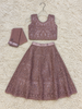 Dusty Mauve Embroidered Lehenga Set