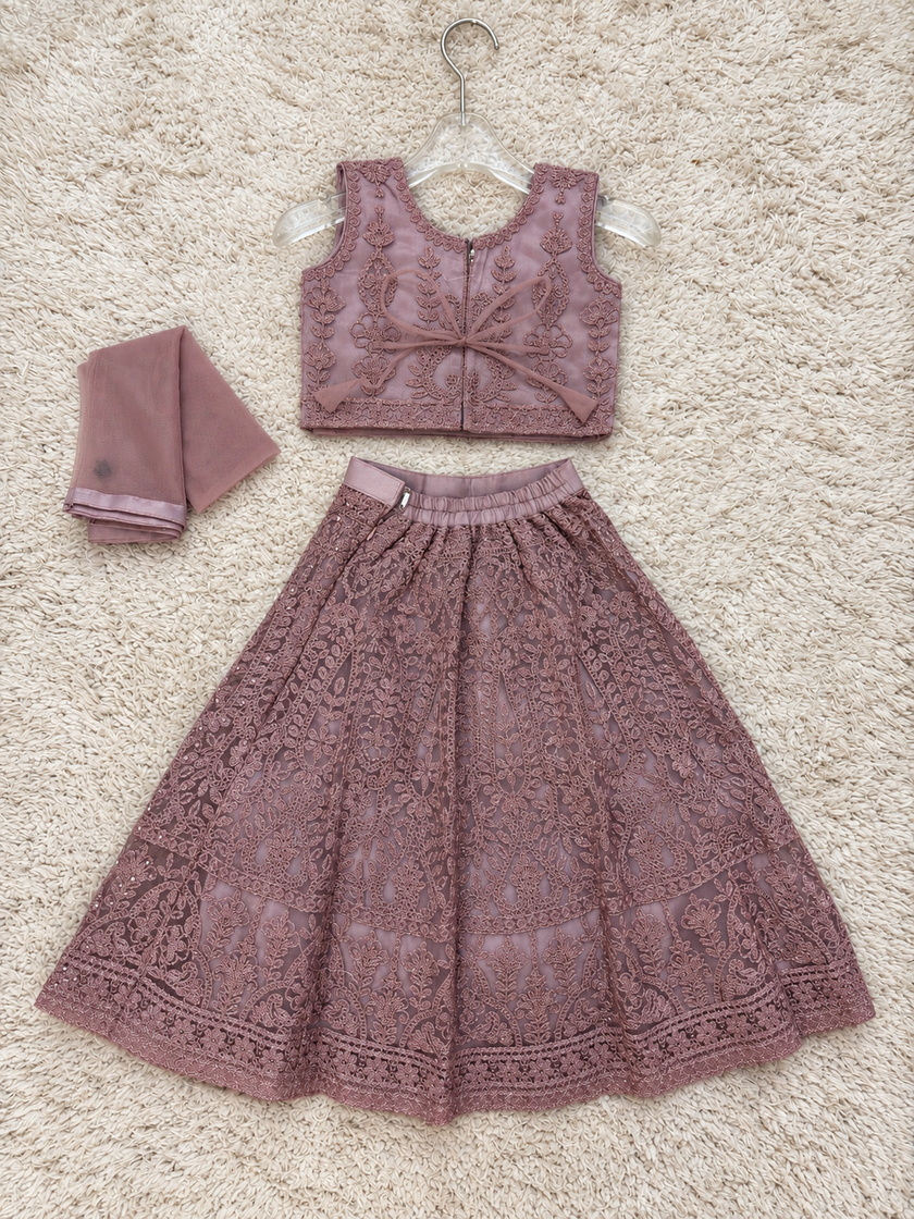 Dusty Mauve Embroidered Lehenga Set