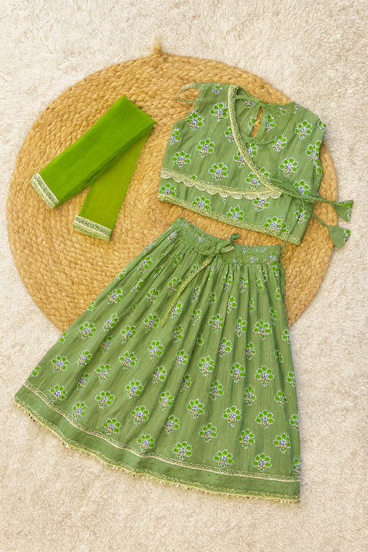 Green embroidered lehenga choli set with dupatta