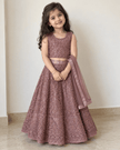 Dusty Mauve Embroidered Lehenga Set