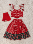 Crimson Chevron Festive Lehenga Set