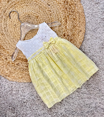 Embroidered Dress with Sheer Overlay Skirt