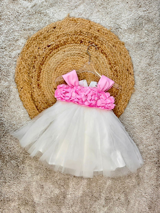 Sleeveless Floral Applique Detailed Tutu Net Dress - Pink White