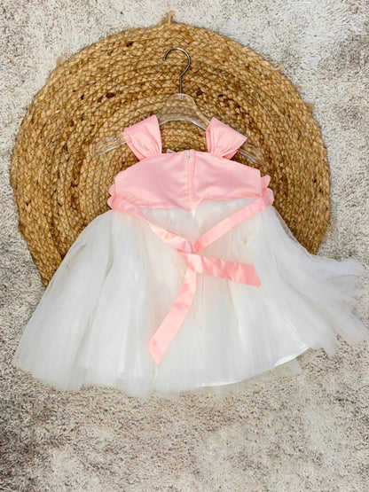 Sleeveless Floral Applique Detailed Tutu Net Dress - Peach