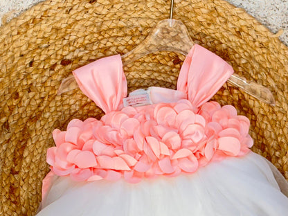 Sleeveless Floral Applique Detailed Tutu Net Dress - Peach