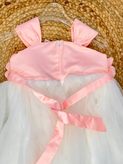 Sleeveless Floral Applique Detailed Tutu Net Dress - Peach