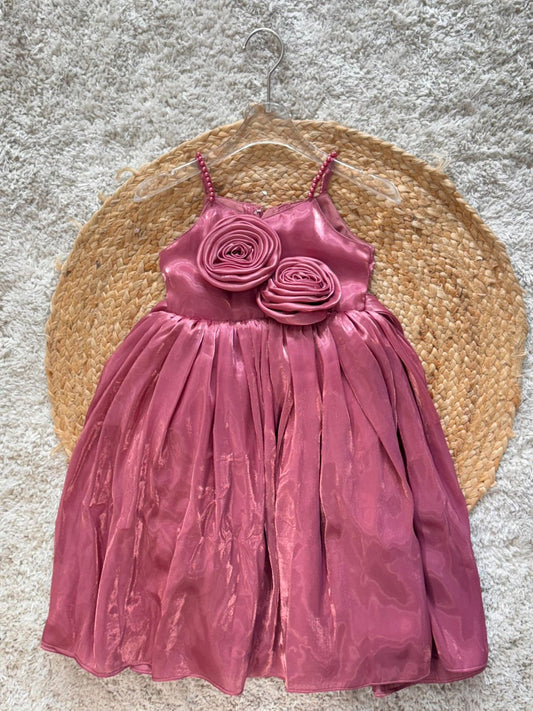 Sleeveless Floral ha Detailed Flared Dress With Headband - Flared Pink