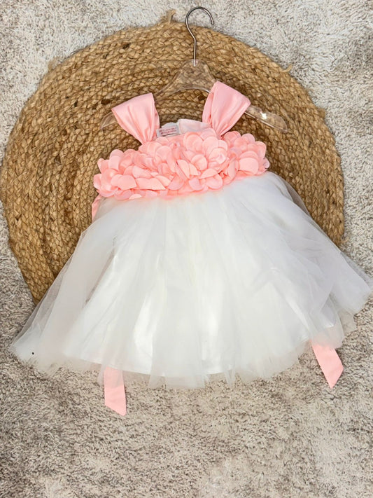 Sleeveless Floral Applique Detailed Tutu Net Dress - Peach