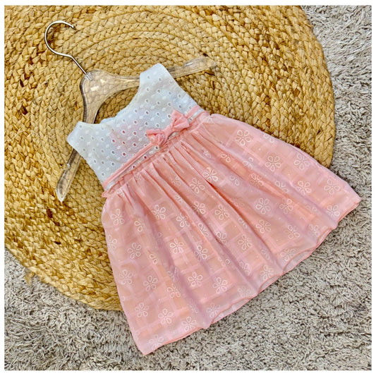 Embroidered Dress with Sheer Overlay Skirt