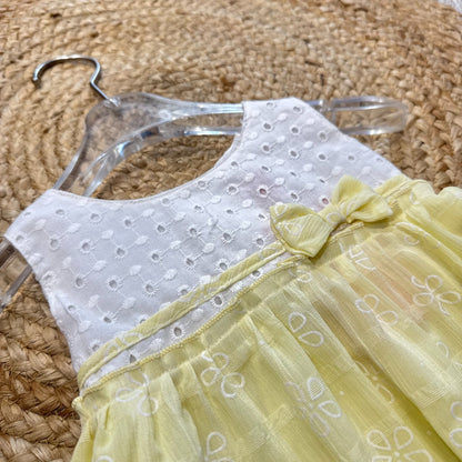 Embroidered Dress with Sheer Overlay Skirt